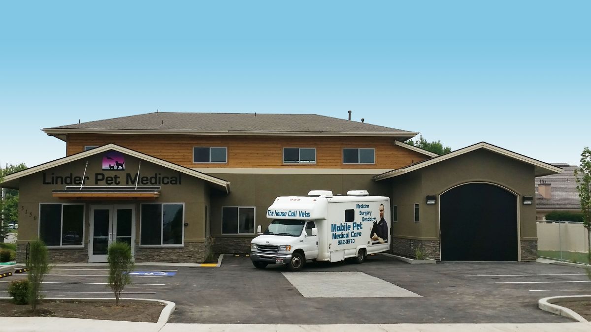 Meridian, ID 83642 Veterinarian | Linder Pet Medical Care