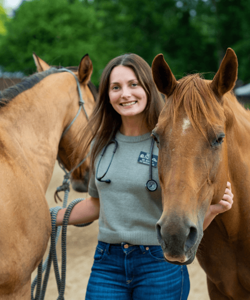 Dr. Ashlyn Schiers, DVM