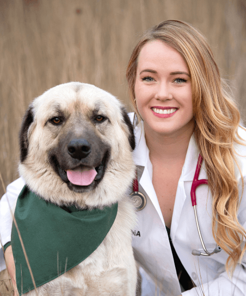 Dr. Larell Bermudez-Koch, DVM